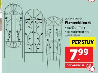 Lidl Livarno home plantenklimrek 40 x 117cm aanbieding