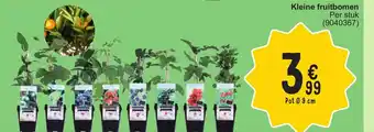 Cora Kleine fruitbomen 9cm aanbieding