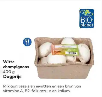 Witte champignons