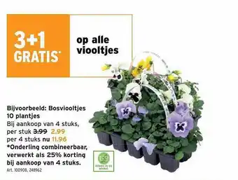 Viooltjes