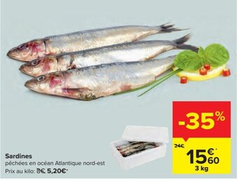 Carrefour Sardines 3 kg aanbieding