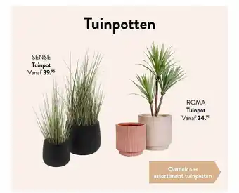 Sense tuinpot, roma tuinpot