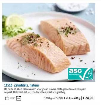 Zalmfilets, natuur