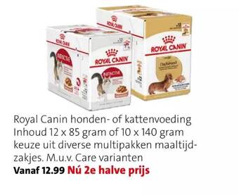 Intratuin Royal canin honden of kattenvoeding aanbieding