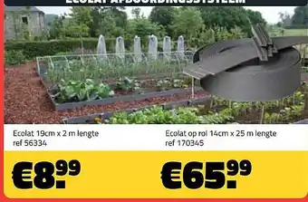 Ecolat, ecolat op rol