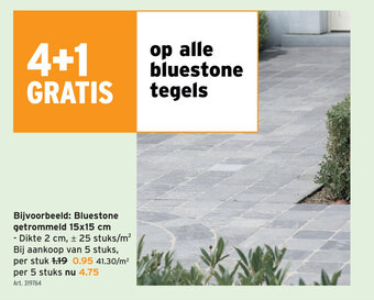 Op alle bluestone tegels