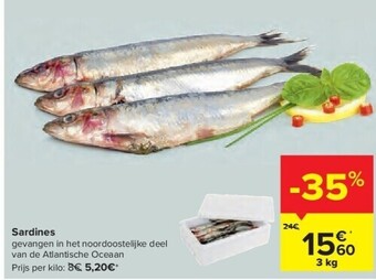 Carrefour Sardines aanbieding