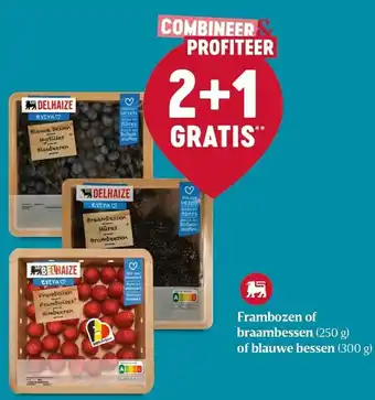 Delhaize Frambozen of Braambessen (250 g) off Blauwe Bessen (300 g) aanbieding