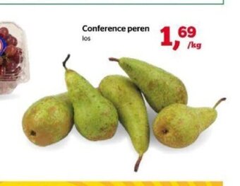 Conference peren
