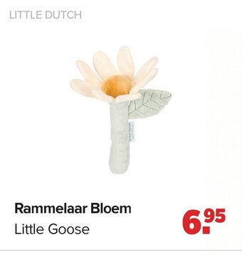 Rammelaar Bloem Little Goose