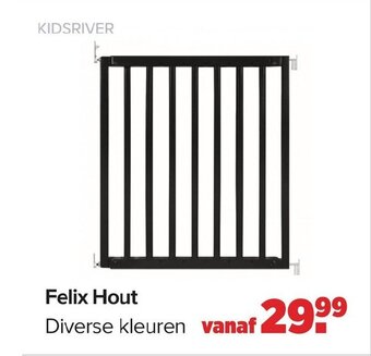 Baby-Dump Felix Hout aanbieding
