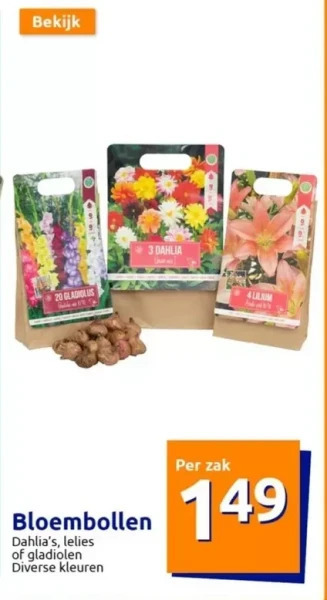 Action Bloembollen aanbieding