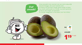 Avocado