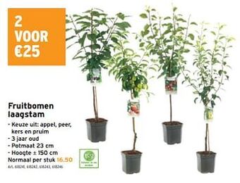 GAMMA Fruitbomen laagstam aanbieding