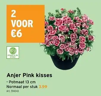 Anjer pink kisses 13 cm