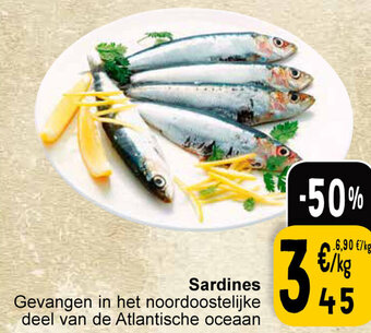 Cora Sardines aanbieding