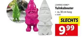 Lidl Livarno home tuinkabouter aanbieding