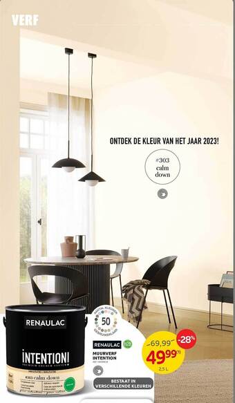Brico Renaulac muurverf intention aanbieding
