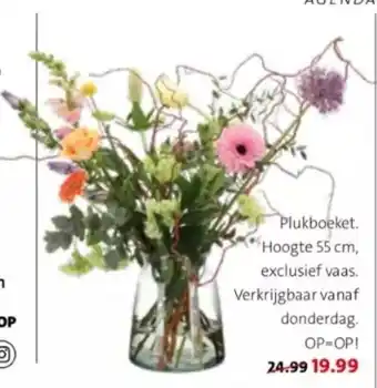 Intratuin Plukboeket hoogte 55 cm, exclusief vaas. aanbieding