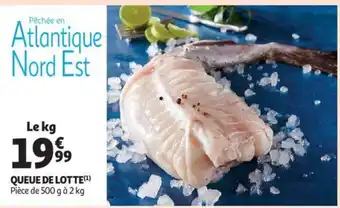 Queue de lotte piece de 500 g a 2 kg, le kg