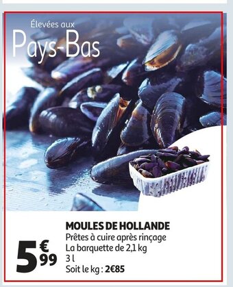 Auchan Moules de hollande 3L aanbieding