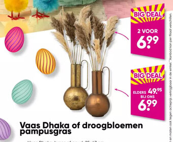 Vaas Dhaka of droogbloemen pampusgras