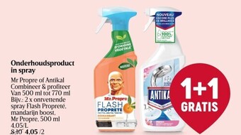 Delhaize Onderhoudsproduct in spray aanbieding