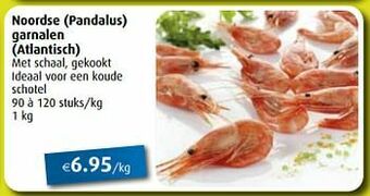 Noordse pandalus garnalen