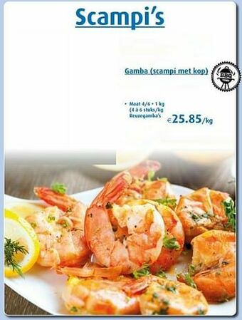 Aronde Gamba scampi met kop aanbieding