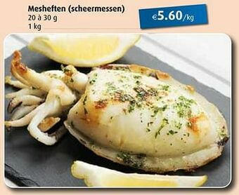 Mesheften