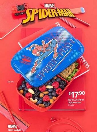 Duo lunchbox spider-man