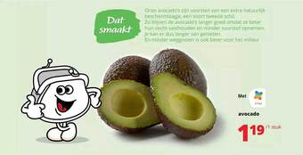 Avocado