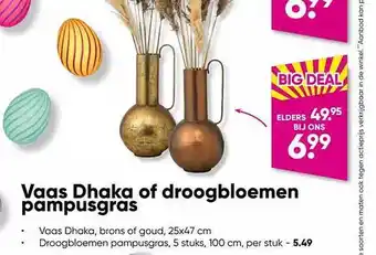 Big Bazar Vaas dhaka of droogbloemen pampusgras aanbieding