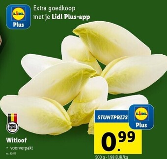 Lidl Witloof aanbieding