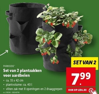 Lidl Set van 2 plantzakken voor aardbeien aanbieding