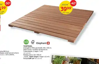 Tuintegel 100 x 100 cm Dikte 30 mm