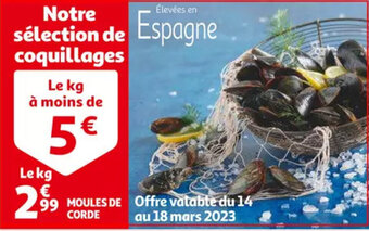 Moules de corde le kg