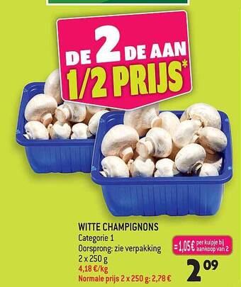 Witte champignons