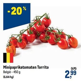 Minipaprikatomaten torrito 450g