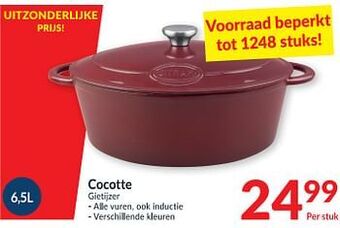 Cocotte gietijzer