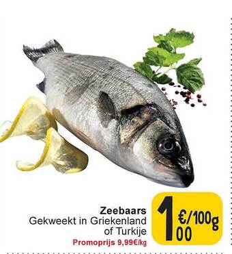 Cora Zeebaars aanbieding