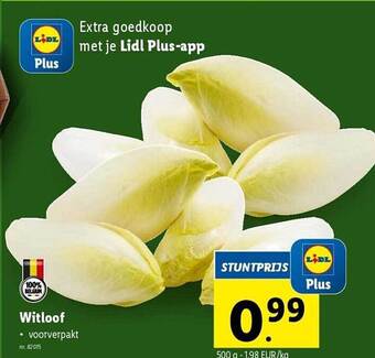 Lidl Witloof aanbieding