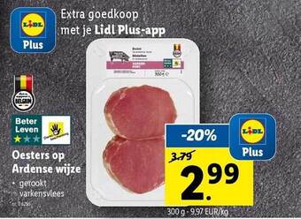 Lidl Oesters op ardense wijze aanbieding