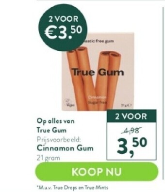 Cinnamon gum 21 gram