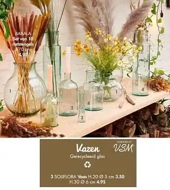 Casa Soliflora vaas aanbieding