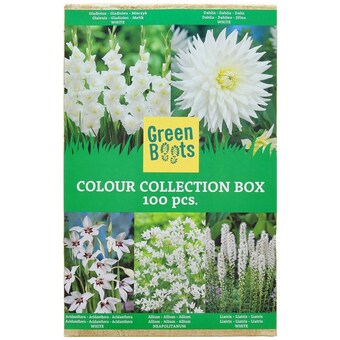 Action Green Boots bloembollen aanbieding
