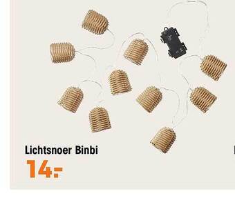 Lichtsnoer binbi