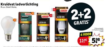 Kruidvat Kruidvat Ledverlichting aanbieding
