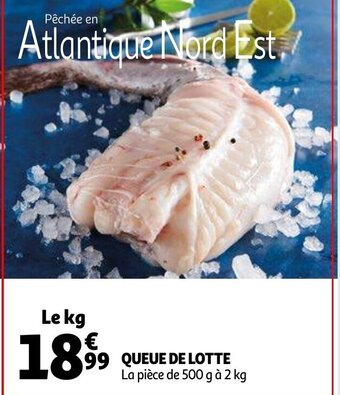 Auchan Queue De Lotte aanbieding
