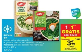 Spinazie iglo